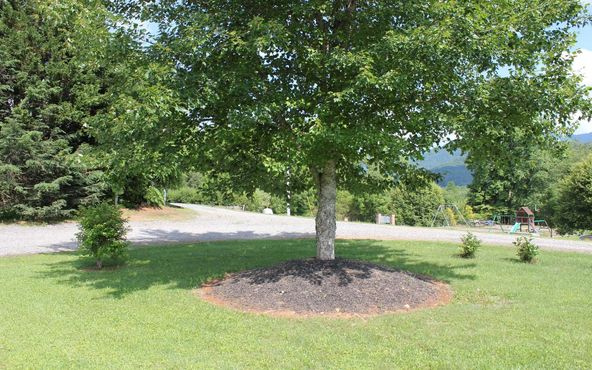 56 W Vineyard Ln, Hayesville, NC 28904